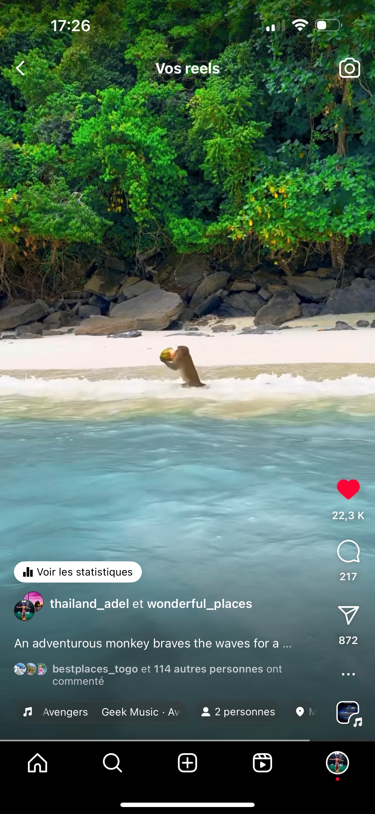 001 Monkey Beach Coconut Monkey