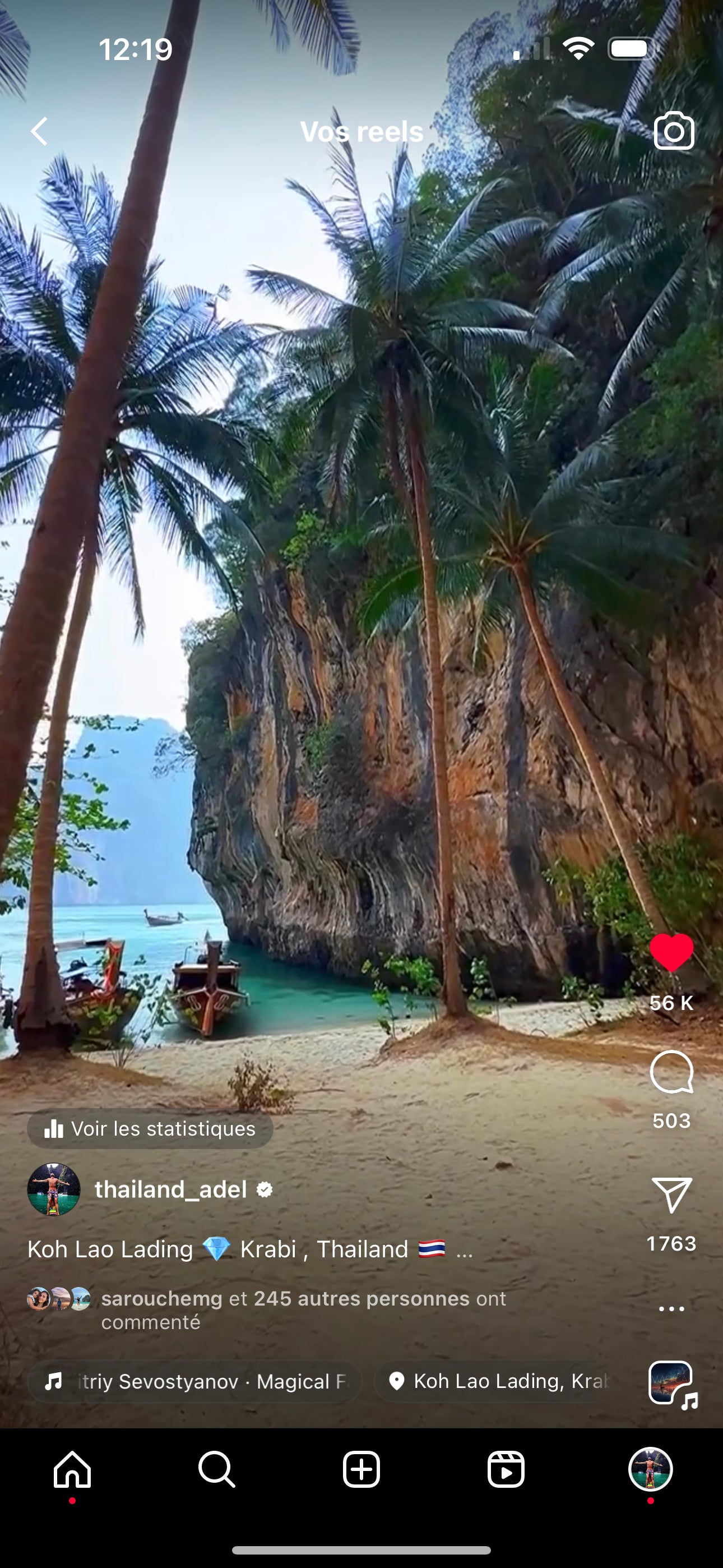 005 Koh Lao Lading Palm Trees